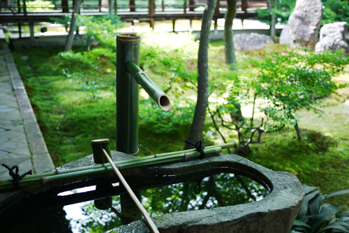kennin08.jpg