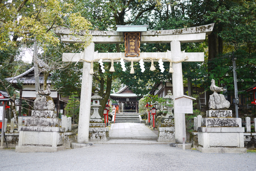 miyakehachi08.jpg