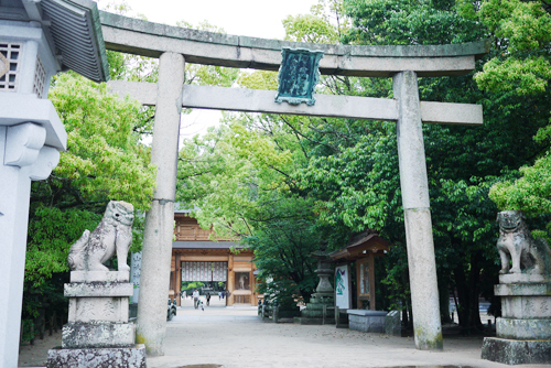 oyama06.jpg