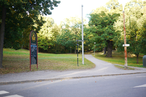 rosend01.jpg