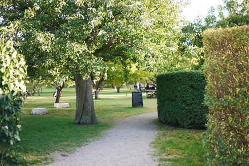 rosend05.jpg